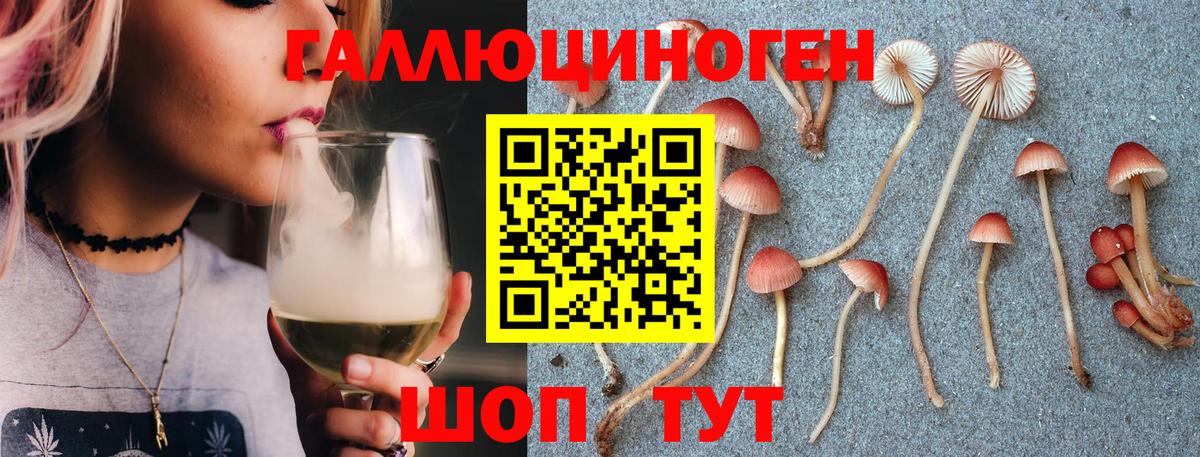 купить закладку  Галлюциногенные грибы GOLDEN TEACHER  Жуковский  Вход с VPN  Галлюциногенные грибы MAGIC MUSHROOMS 