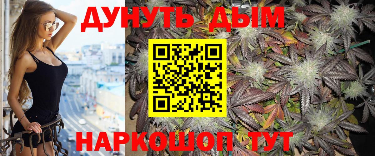 Конопля план Жуковский